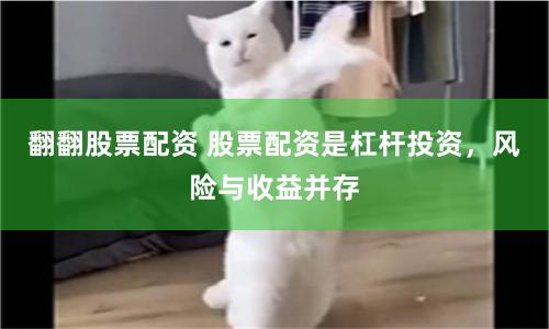 翻翻股票配资 股票配资是杠杆投资,风险与收益并存