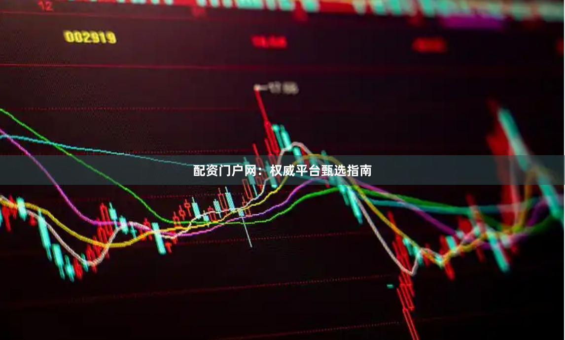 配资门户网：权威平台甄选指南